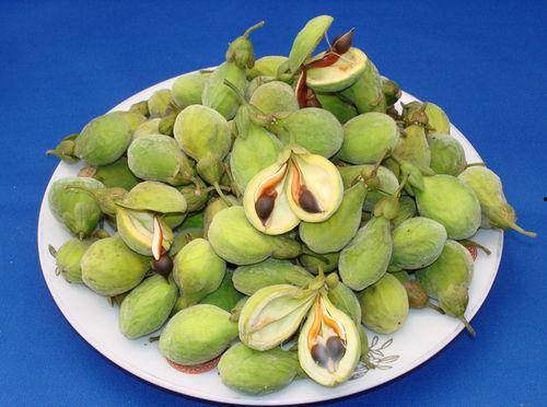 种其因者须食其果