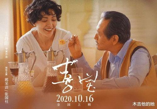 婚情告急宝贝来袭,甜蜜爱情与育儿挑战的完美融合