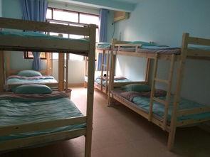 青年旅舍,探索青年旅舍的温馨世界